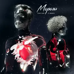Gafur – МОРОЗЫ