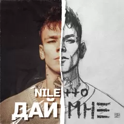 NILETTO – Дай мне