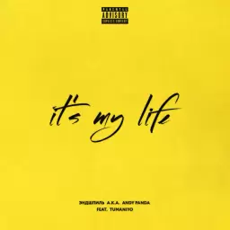 Эндшпиль – It's My Life