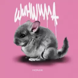 HOMIE – Шиншилла