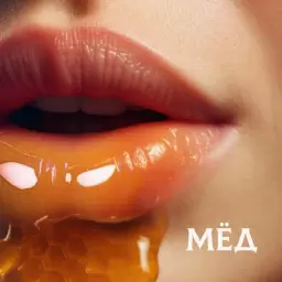 SHAMAN – МЁД
