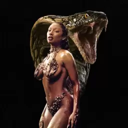 Megan Thee Stallion – Cobra