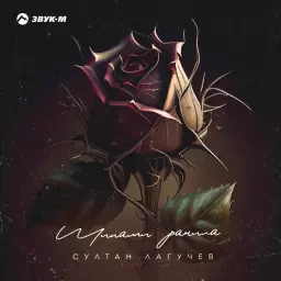 Султан Лагучев – Шипами ранила