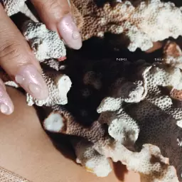 NIKI – Tsunami