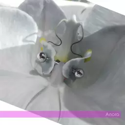 9mice – Anora