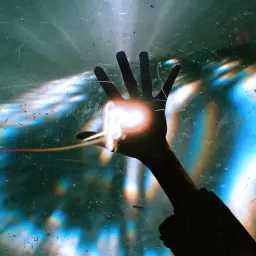 Architects – Brain Dead