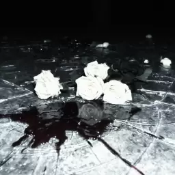 WHITE GALLOWS – Бредить